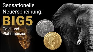 Neu Big 5 Gold und Platinmünzen aus Südafrika [upl. by Egiap]