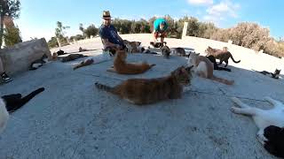 St Nicholas of the Cats  Arkotiri Cyprus [upl. by Nataline152]