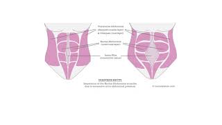 Abdominal Examination Dr Ahmed Moanes clinicalpediatrics [upl. by Korenblat]