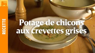 Potage de chicons aux crevettes grises [upl. by Truscott]