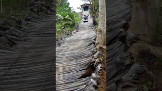 Palwa rides new bataan davao de oro trending viralvideo [upl. by Eva371]