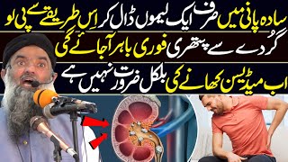 Kidney Gurdy Mein Pathri Ka Ilaj  Best Bayan by Dr Sharafat Ali  Latest HD Video [upl. by Nored]