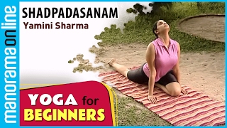 Shadpadasanam  Yoga for beginners by Yamini Sharma  Health Benefits  Manorama Online [upl. by Anirtak]