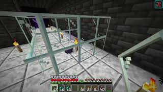 Endermite guide how to get your own permanent pet endermite  Minecraft 121 [upl. by Ringsmuth]