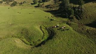 Part Lot 1 522 Kyogle Road Byangum [upl. by Rufena]