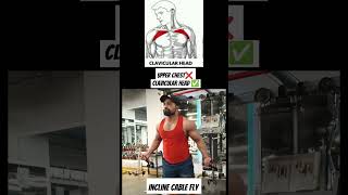 Upper Chest ❌ Clavicular Head ✅ chestexercises chestworkout chestday [upl. by Akeyla276]