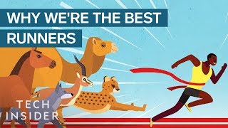 How Humans Evolved To Become The Best Runners On The Planet [upl. by Grantham298]