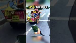 Perrito Desesperado en Carretera❤️‍🩹 [upl. by Chen]