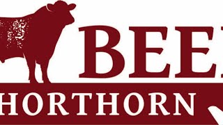 Beef Shorthorn Calf Show at AgriExpo scheduled for 1100am on Friday 1st November’24 [upl. by Indyc]