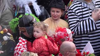 Carnavalsoptocht Tullepetaonestad 2015 [upl. by Macdougall]