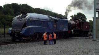 Mallard And Hogwarts Express At Shildon [upl. by Airamesor]