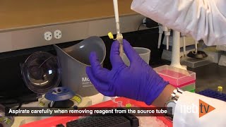 Quick Tips  Preparing NEBNext Ultra II FS DNA Reaction Buffer and Enzyme Mix Master Mix [upl. by Skippie]