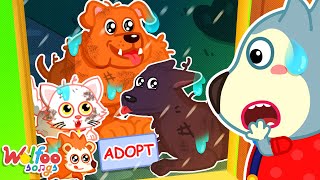 Pet Adopt Song  Having New Super Pets  Kids Songs amp Nursery Rhymes WolfooFamilySongs [upl. by Nelloc556]