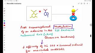 Macrolide Antibiotics Resistance [upl. by Elimaj788]