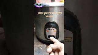 rice cooker light problem repair inductioncooker shortvideo [upl. by Arinay]