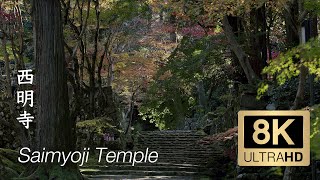 Saimyoji Temple  Shiga  西明寺  8K Ultra HD [upl. by Rudelson393]