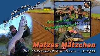 Matze Koch Meterhecht im Baum  Matzes Mätzchen 122023 [upl. by Isaiah114]