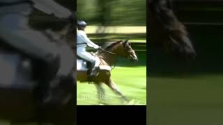 Did y’all watch the cross country Olympics olympics horse ￼ [upl. by Letizia]