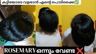 Rosemary ഇല്ലാതെ തന്നെ രണ്ട് ഇരട്ടി മുടി💯 Result ഉറപ്പിക്കാം 💪 Extreme Hair Growth 📈 [upl. by Revlys603]