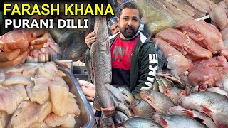 QAMAR FISH amp CHICKEN POINT SHOP  PURANI DILLI KI FRESH FISHES SHOP  FARASH KHANA PURANI DILLI [upl. by Eceer]