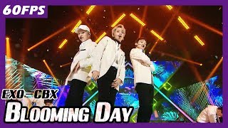 60FPS 1080P  EXOCBX  Blooming Day 엑소첸벡시  花요일 Show Music Core 20180414 [upl. by Albion]