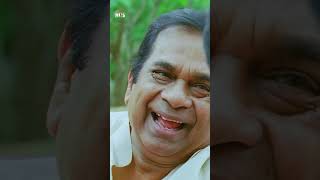 Brahmanandam Hilarious Scene  Thadaka Movie  Naga Chaitanya  Sunil  Tamannaah  YTShorts [upl. by Noret]