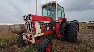 BigIron Auctions Geihsler International 1586 Tractor November 2023 [upl. by Llenral]