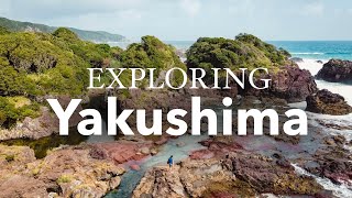 Guide to Japans Kagoshima and Yakushima Islands [upl. by Refinnej]