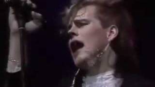 Dingo Levoton Tuhkimo live 1986 [upl. by Allina72]