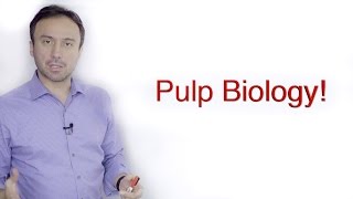 Pulp Biology A Basic Crash Course [upl. by Delora]