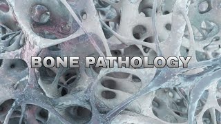 Bone pathology 3rd lecture [upl. by Gelb32]