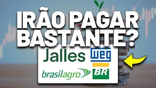 💰VÁRIOS ANÚNCIOS DE DIVIDENDOS BRASILAGRO WEG VIBRA ENERGIA CURY  AGRO3 JALL3 VBBR3 CURY3 WEGE3 [upl. by Nered]