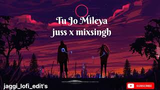 Tu jo mileya lofi song juss x mixsingh lofi newsong tujomilasong [upl. by Urbanna]