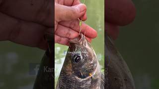 Diy fishing rig how to upgrade fishing hook fishing mancing fishingknots tutorial [upl. by Meter]