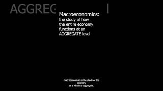 What is Macroeconomics [upl. by Rehctelf]