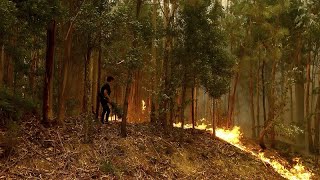 Des milliers de pompiers luttent contre une centaine dincendies au Portugal [upl. by Shandie]