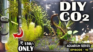 DIY CO2 System for Planted Aquarium under ₹150  Aquarium Series Episode 10 [upl. by Manlove]