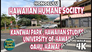 Hawaiian Humane Society Kanewai Park Hawaiian Studies University of Hawaii October 21 2020 [upl. by Oslec399]