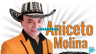 Aniceto Molina  Negra caderona Letra [upl. by Recnal]