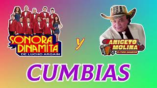 La Sonora Dinamita Vs Aniceto Molina  Cumbias viejitas pero bonitas para bailar [upl. by Enelyt]