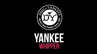 Droll Yankees Yankee Whipper Bird Feeder [upl. by Tammie698]