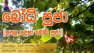 Bodhi Poojawa Kavi Gatha  Buddhist Puja Chantings By Hapugoda Priyankara Thissa Thero [upl. by Lisette]