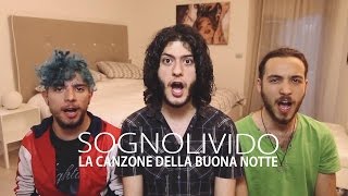 Sognolivido  La Canzone della Buonanotte VIDEOCLIP [upl. by Ardnaet]