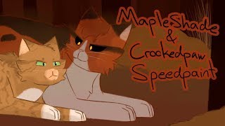 Mapleshade and Crookedpaw  Speedpaint [upl. by Doak]