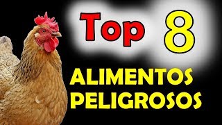 8 cosas que las gallinas NO DEBEN COMER  alimentos pueden ser peligrosos [upl. by Ayanad]