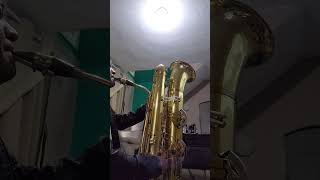 Sax Contra Baritono no Grave [upl. by Oballa]