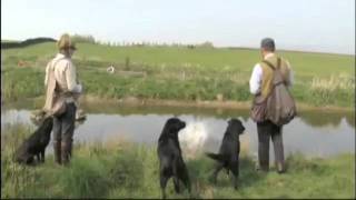 Countrywise  Brocklebank Labradors  John Halsted [upl. by Caritta]