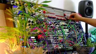 Modular 37 Come To Light  Ambient  Modular404  Loquelic Iteritas Morphagene Verbos Multi Delay [upl. by Sindee]