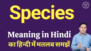 Species meaning in Hindi  Species का हिंदी में अर्थ  explained Species in Hindi [upl. by Otrebmuh468]