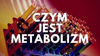 Czym jest metabolizm  46 Podcast Akademii Białego Fartucha [upl. by Annal]